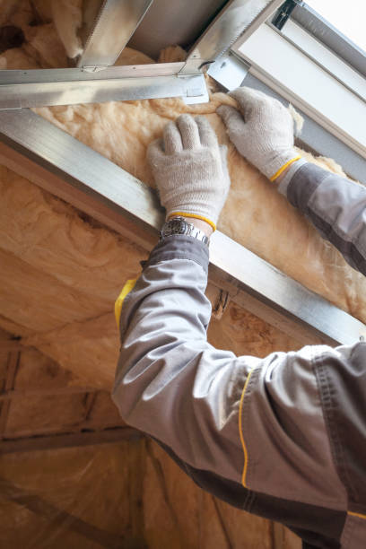 Best Insulation Contractor Near Me  in Luckey, OH