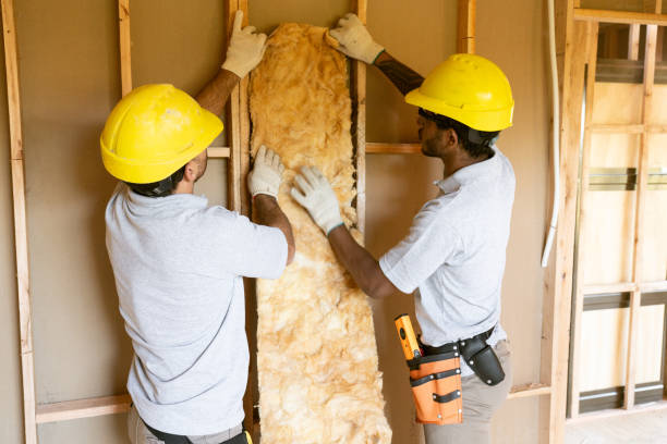 Best Insulation Inspection Services  in Luckey, OH